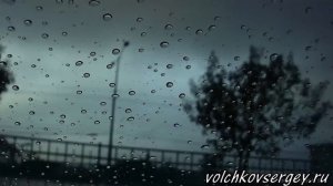 Сергей Волчков. «Август»