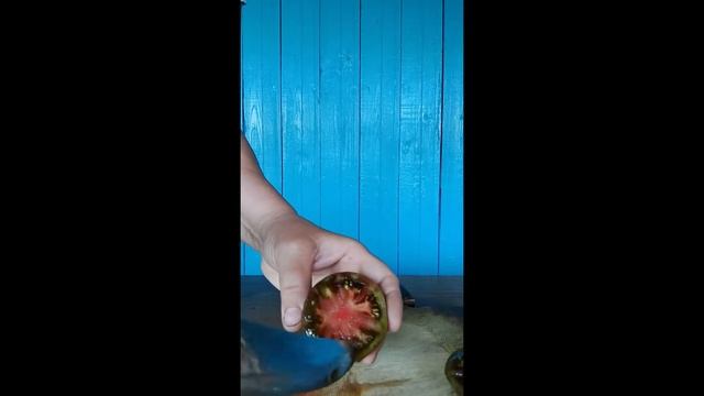 Обзор томатов гномов. Коллекция С.Туранчич. г. Киров. В?