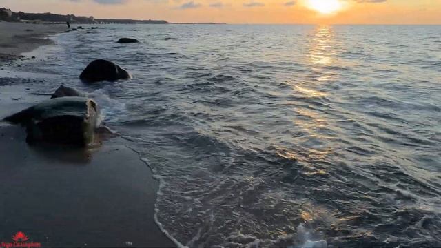 Вот и Лето прошло...Пионерский Курорт☀️ Калининград ?