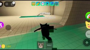 как получить котика акулу в игре с котятами в роблокс
