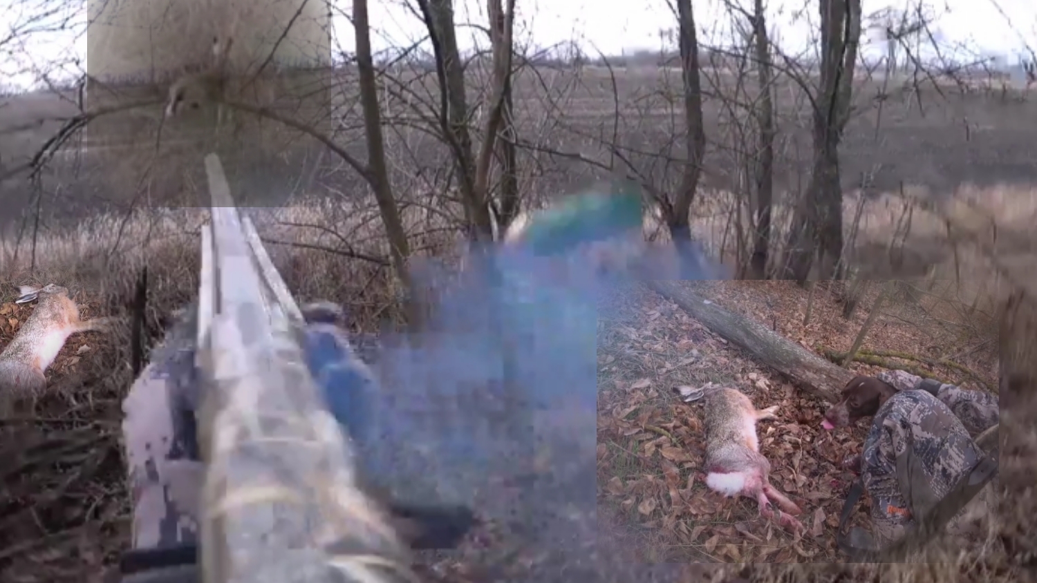 В этих местах полно зайца! Охота по зайцу. Зайчатница смотреть онлайн