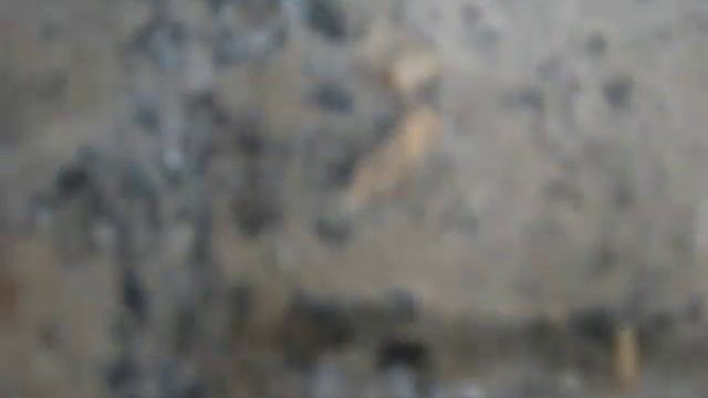 Волкова 9 Псков_