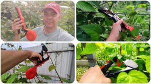 Как подготовить к работе и оснастить ТАПЕНЕР: подвязка растений будет легкой и быстрой