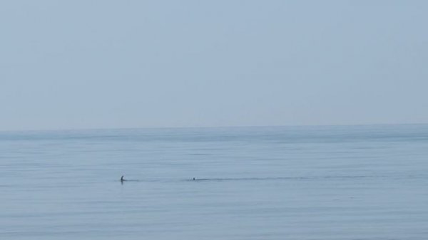 Отель "Мореин"