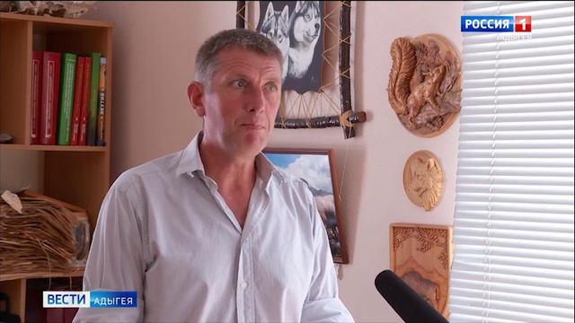 Зубры Кавказского заповедника Адыгеи