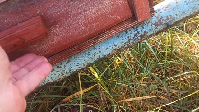 подкормка пчёл осенью 2024