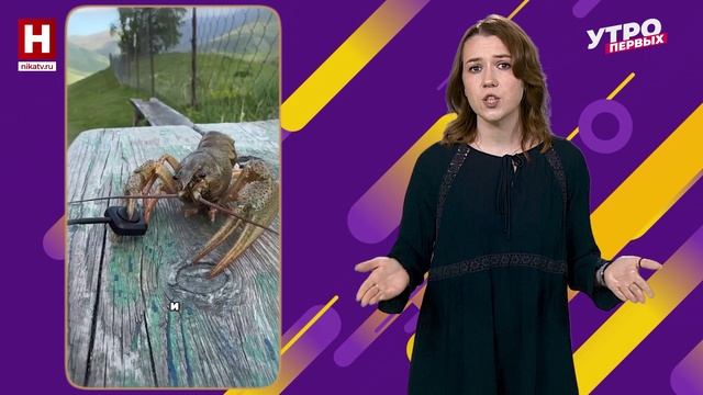 Лучшие видео недели | В ТРЕНДЕ