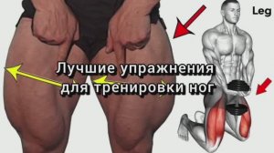 Упражнения для тренировки ног.