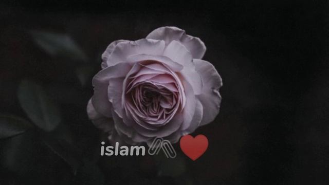 📹 Nasheed-успокаивающий нашид 2 часть 🖇️♥️ ⚘️🌹🌺🌼🌼 смотреть онлайн