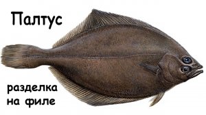 Разделка палтуса на филе
