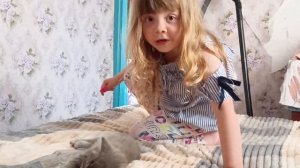 ухаживаю за котятами