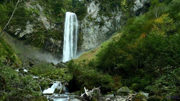 Таинственные звуки природы, которые наука не может объяснить! - Catch and Release -- Satellite State