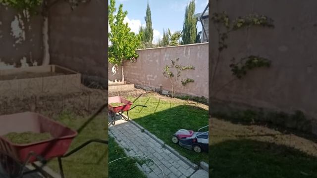 Сварщик по жизни.косим газон в Тбилиси 🇬🇪 в прямом э?