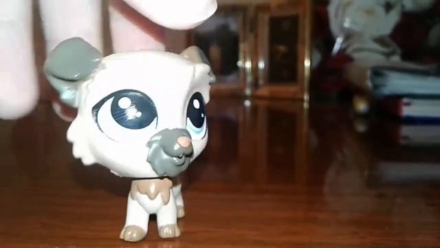 Смотреть всем / ушла с канала?/сорри в конце камера отк?