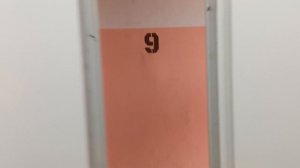 Пассажирский лифт (г. Чехов), V=1 м-с, г-п 400 кг (43)