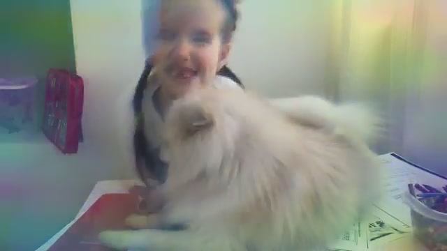 Владивосток. Фанвстреча 1апреля