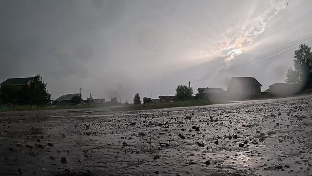 🐝🐝🐝 смотреть онлайн