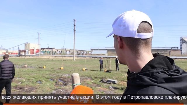 Пирамидальные тополя высадили в микрорайоне 