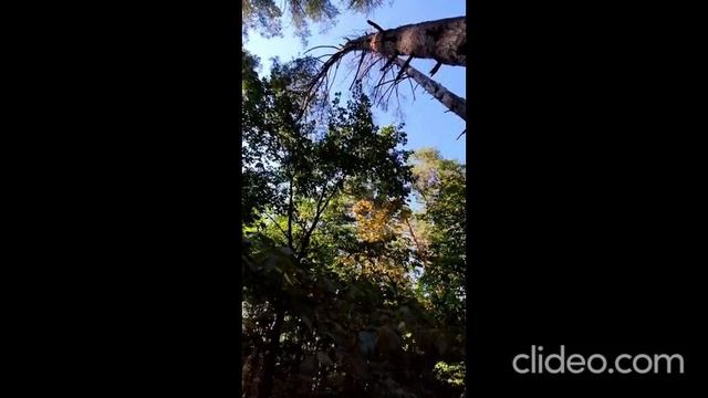 реальные страшные истории. с форума двач смотреть онлайн