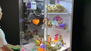 Toy_Box_1P_2