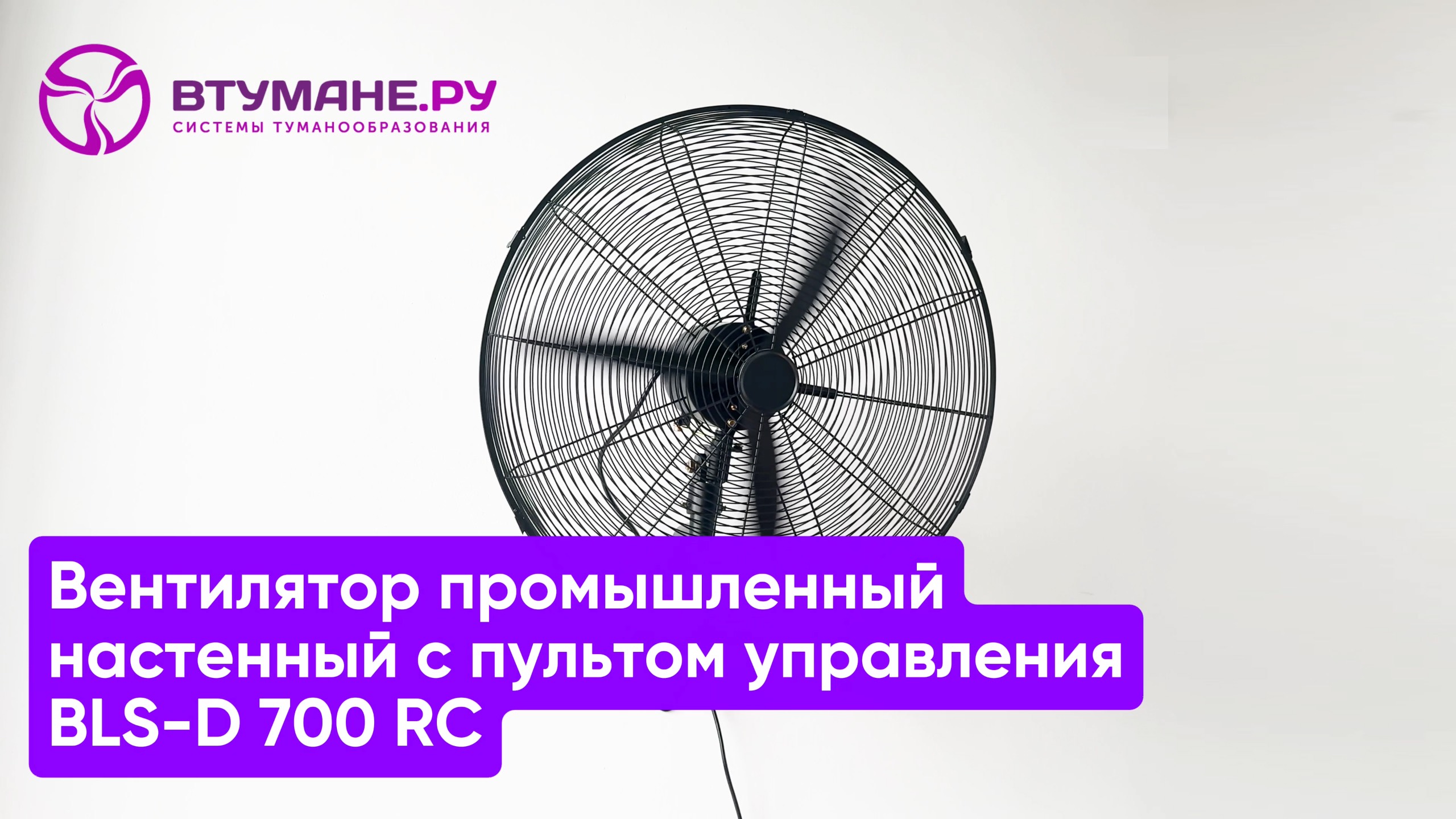 Вентилятор промышленный настенный с пультом управления BLS-D 700 RC смотреть онлайн
