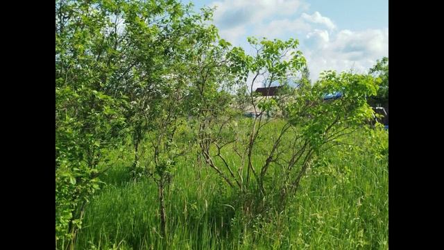 Кусинское сельское поселение, садоводческое некоммерческое товарищество Ручеёк, 9-я улица смотреть онлайн
