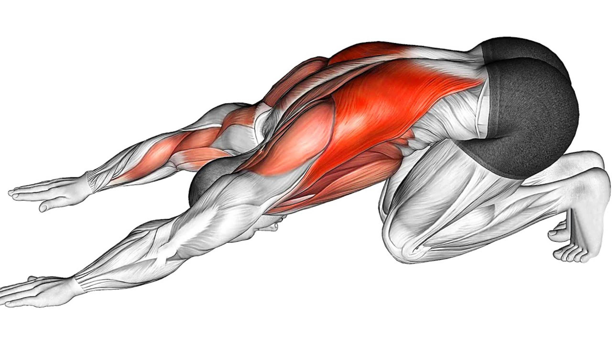 Мои ЛЕТНИЕ утренние Упражнения смотреть онлайн