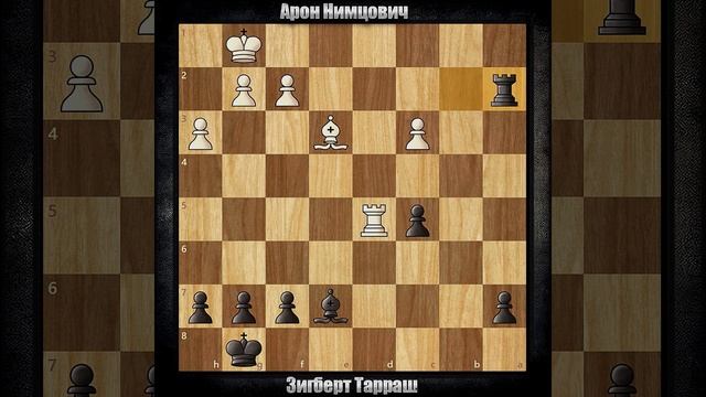 Арон Нимцович - Зигберт Тарраш | Сан-Себастьян 1911 | Шотл смотреть онлайн