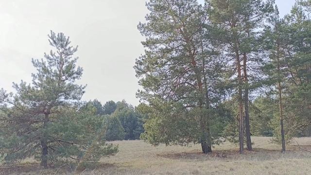 Самые опасные дни в мае 2025. Неблагоприятные дни.Что де? смотреть онлайн