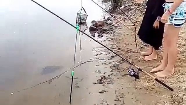 Самая большая рыба, река Сож. Детский смех.