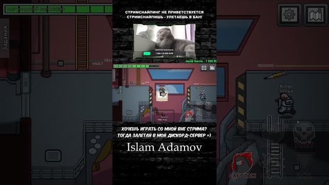 🔴 КОТ ИГРАЕТ В AMONG US | КОМАНДНАЯ РАБОТА #shorts смотреть онлайн