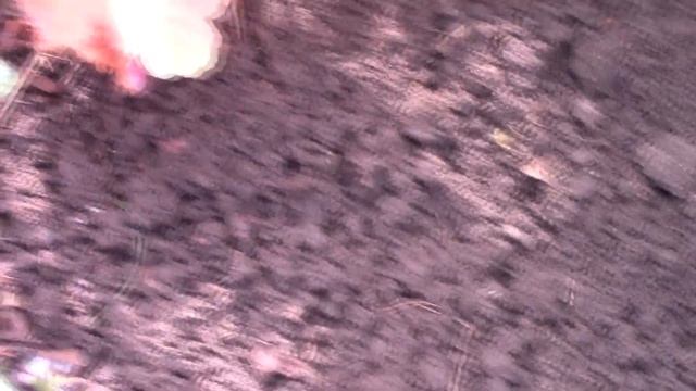 Начало мая. Обзор.