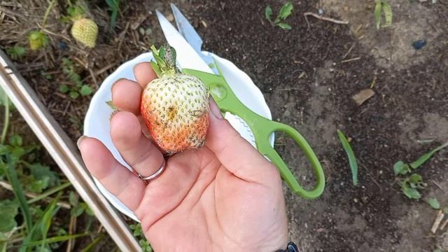 ТАКОЙ Ураган в моей жизни впервые, поехала В два Города по делам, что купила . смотреть онлайн