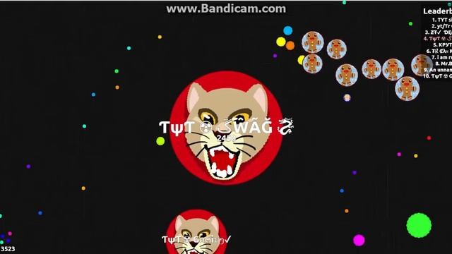 Командная игра в Agar.io ♕ Team play in Agar.io #2 смотреть онлайн