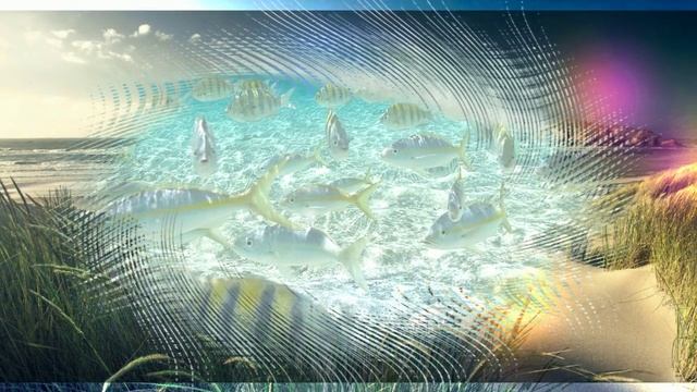 Что-то шепчет о морях смотреть онлайн