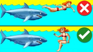 Как Пережить Нападение Диких Животных