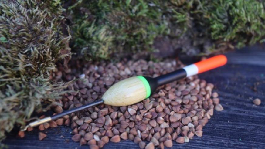 Как рыба реагирует на гречку. Смотрим что получилось. смотреть онлайн