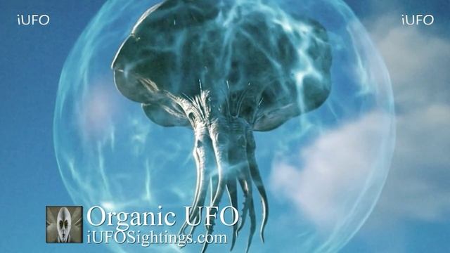 ORGANIC UFO MOTHERSHIP SPOTTED – ALIEN TECH OR NATURAL PHENOMENON ?!