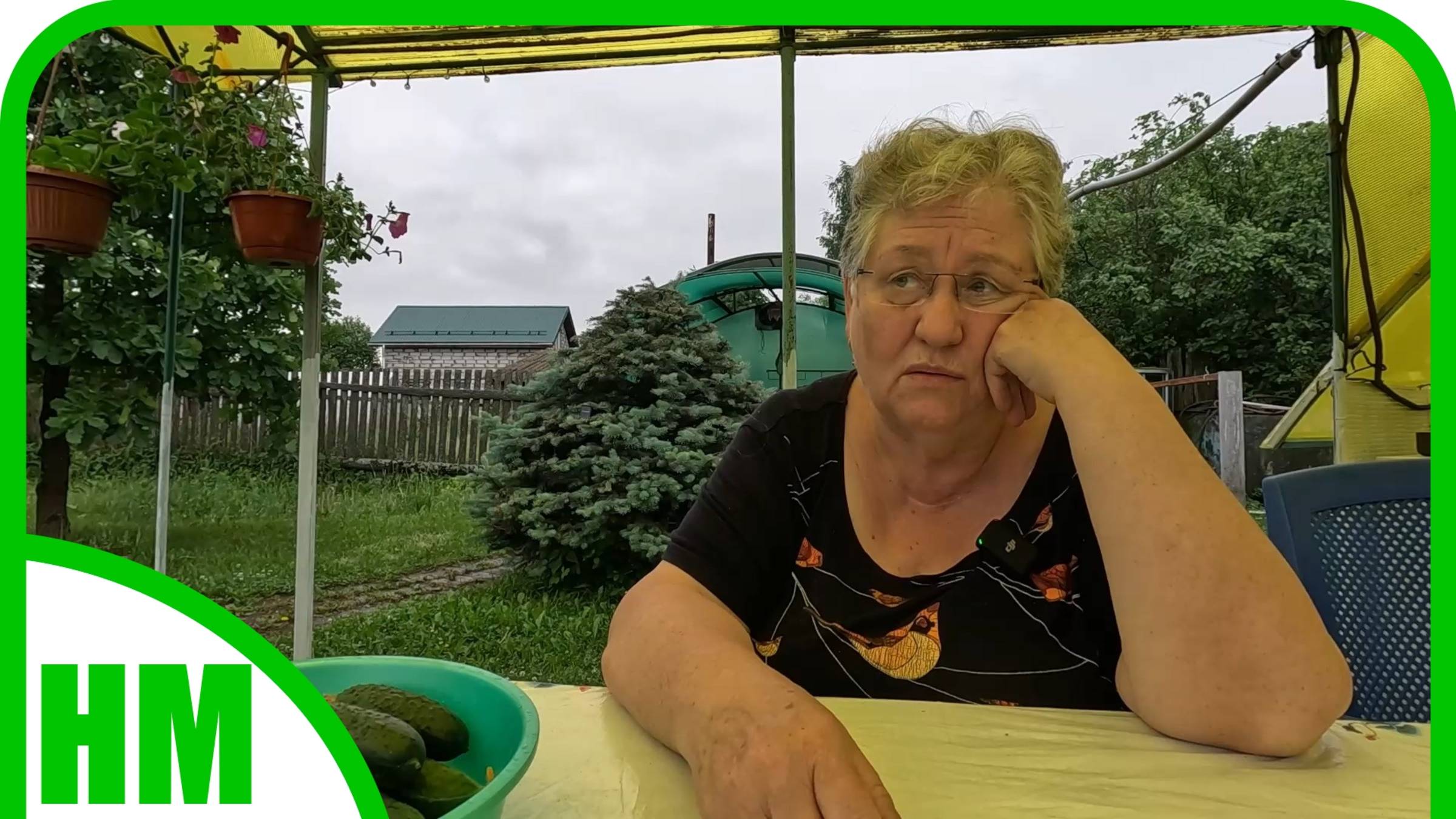 11 июня. Град всем сделал больно. Сбор урожая. Муж начал убирать деревья на участке. смотреть онлайн