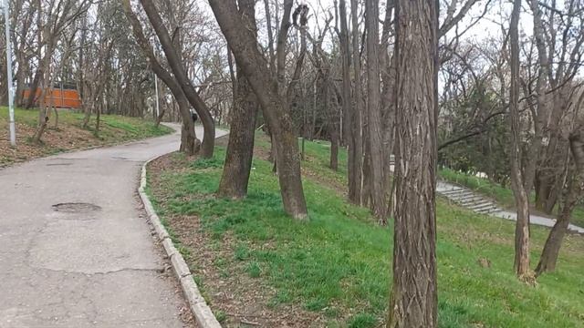 Ессентукский курортный парк. Март 2025г.