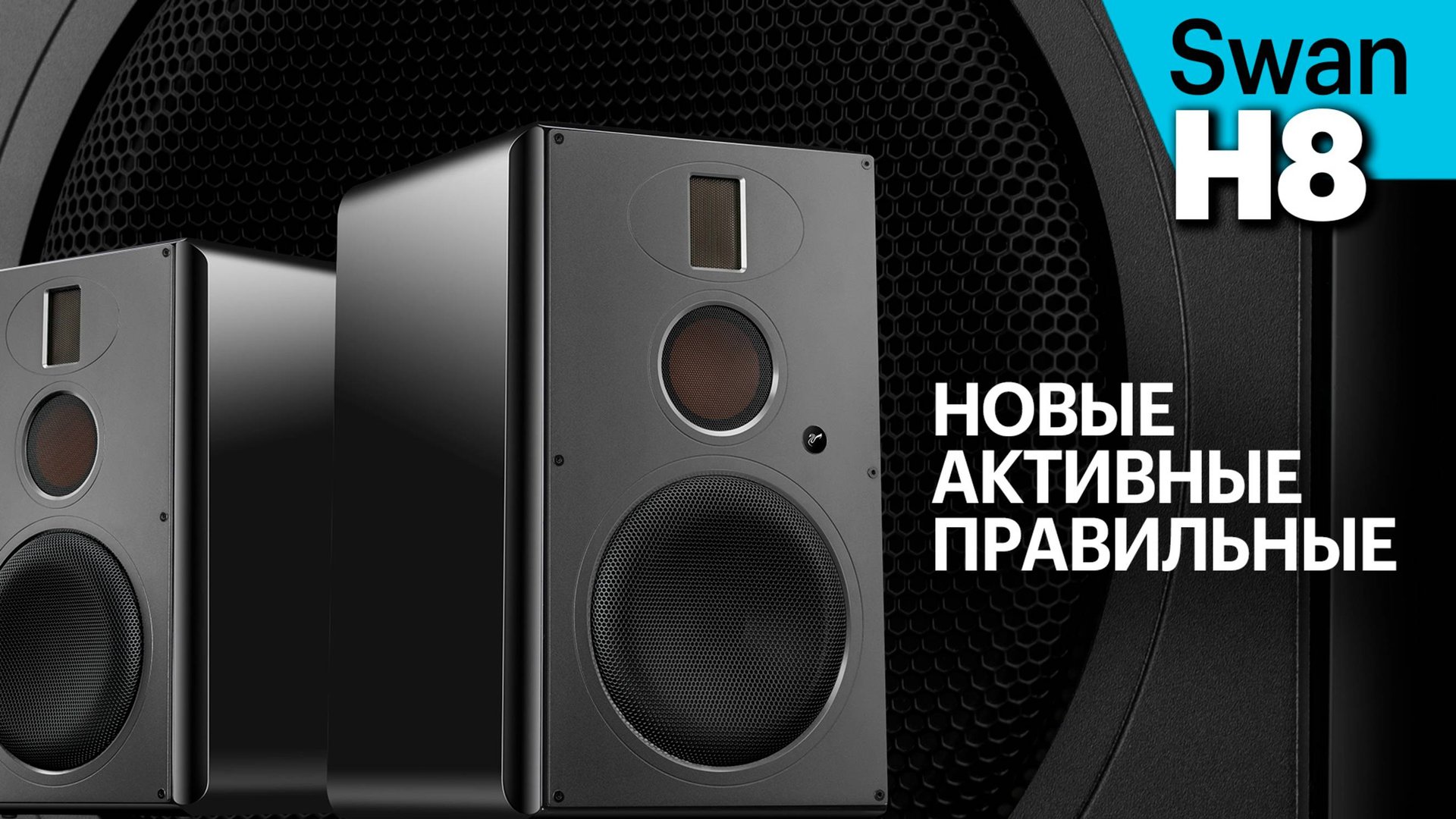 Swan H8 — крупные активные полочники, созданные по канонам High End смотреть онлайн