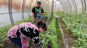 Поездка в гости к родителям. Обзор хозяйства. Обмениваемся гостинцами. Жизнь простых людей.