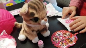 🎀 Pets Alive Smitten Kitten ZURU распоковка 🎀 sugar surprise