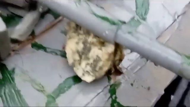 Дот с танком против самоходки смотреть онлайн