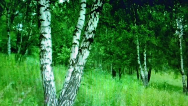 На горе колхоз. караоке от Серёги 😊