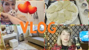 VLOG/про пустышки/переехали!/показываю нашу квартиру/у нас новый член семьи))