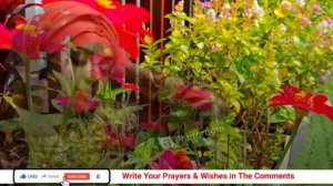 ЯСИН СУРА ТЕКСТ, ЁСИН СУРАСИ УЗБЕК ТИЛИДА ЁДЛАШ, СУРАИ