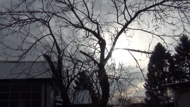 Идём на дачу пить чай смотреть онлайн