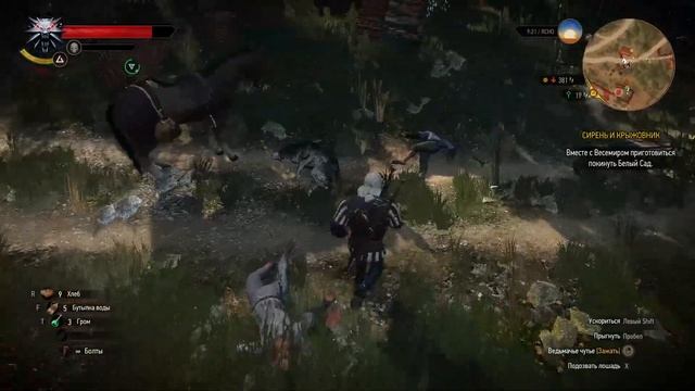 The Witcher 3 Wild Hunt прохождение #6)))побочные задания))) смотреть онлайн