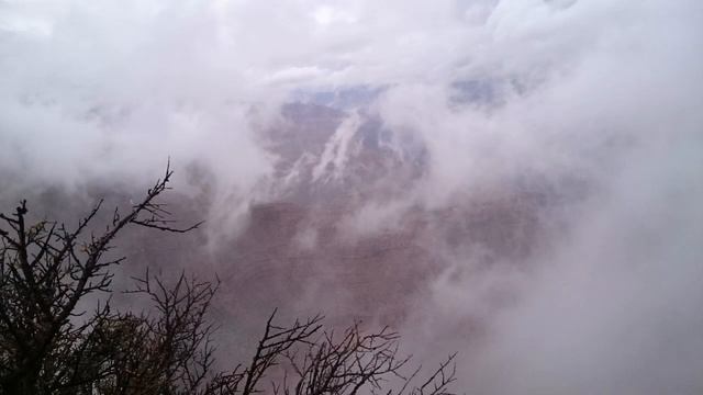 Великий каньон. Туман. Фото